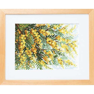 ミモザの咲く丘