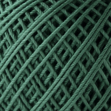 エミーグランデ＜ハウス＞