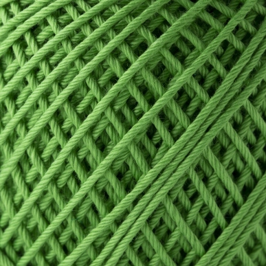 エミーグランデ＜ハウス＞