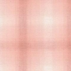 sakizomemomen　OL102　(roll)