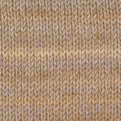 ツリーハウス　ブレス