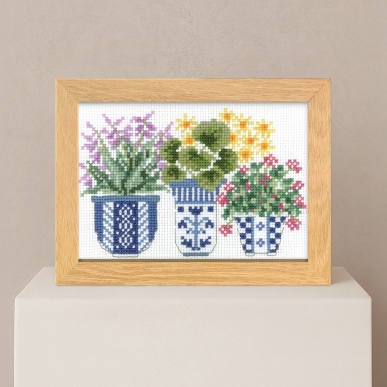 6月 草もの（ギボウシ・ツワブキ・ミセバヤ）